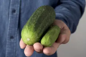 人工陰莖植入手術