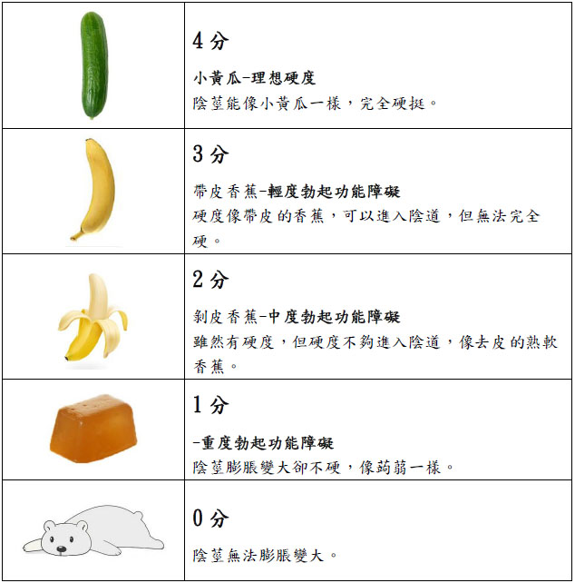 勃起硬度評分(EHS)